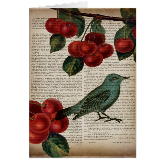 frans vogelretro botanische rode kersen (Voorkant)