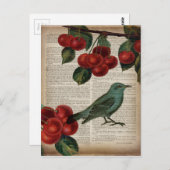 frans vogelretro botanische rode kersen briefkaart (Voorkant / Achterkant)