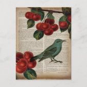 frans vogelretro botanische rode kersen briefkaart (Voorkant)