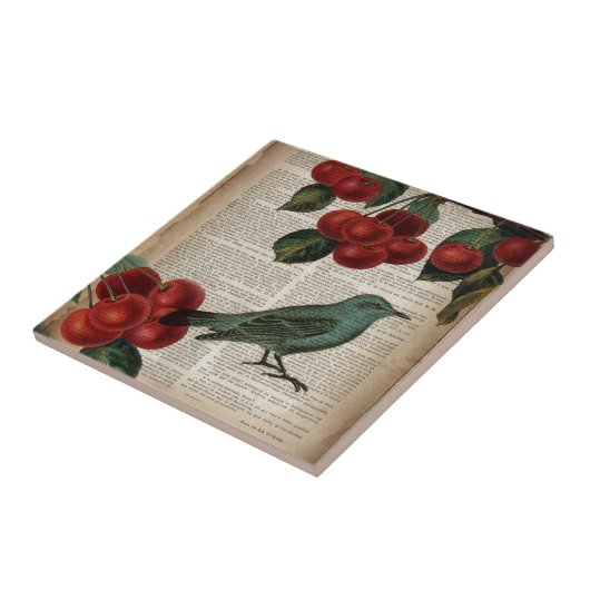 frans vogelretro botanische rode kersen tegeltje (Zijkant)