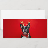 Frans' winterkoning (Voorkant / Achterkant)