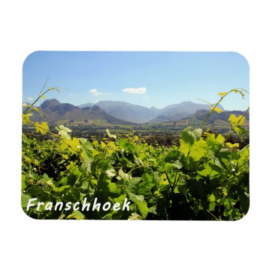 Franschhoek Vineyards Magneet (Horizontaal)