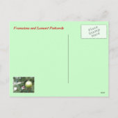 Franscious en het Briefkaart van de Kerstboom van (Achterkant)