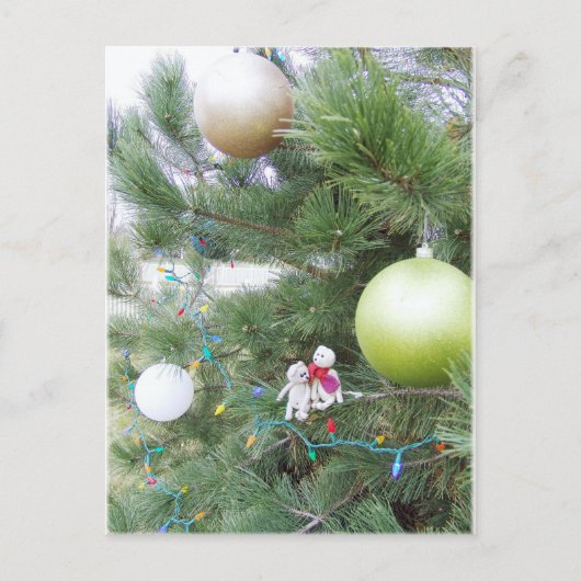 Franscious en het Briefkaart van de Kerstboom van (Voorkant)
