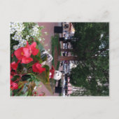 Franscious en Lennart in het centrum van Saint Lou Briefkaart (Voorkant)