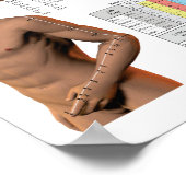 Franse Acupunctuur Meridians puntenkaart Poster (Hoek)