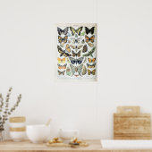  Franse Adolphe Millot Butterflies en Moth Poster (Keuken)