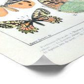  Franse Adolphe Millot Butterflies en Moth Poster (Hoek)