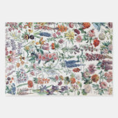  Franse Adolphe Millot Flowers Inpakpapier Vel (Voorkant 2)