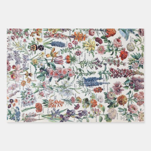 Franse Adolphe Millot Flowers Inpakpapier Vel (Voorkant)