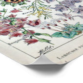  Franse Adolphe Millot Flowers Poster (Hoek)