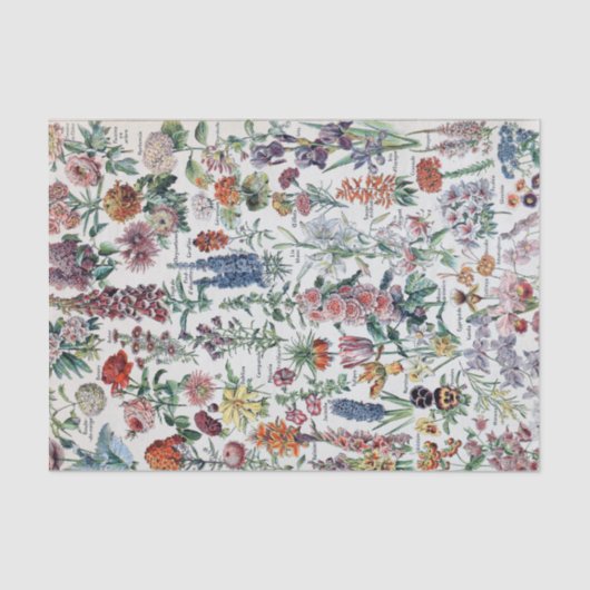  Franse Adolphe Millot Flowers Tissuepapier (Voorkant)