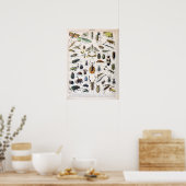 Franse Adolphe Millot Insects Poster (Keuken)