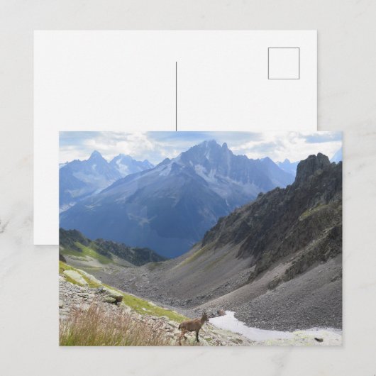 Franse Alpen Chamonix steenbok Briefkaart (Voorkant / Achterkant)