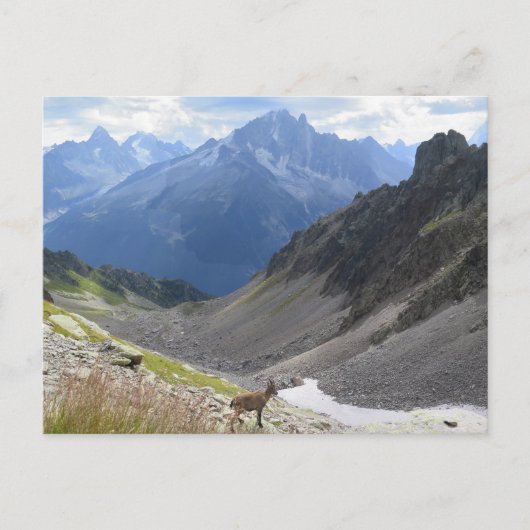 Franse Alpen Chamonix steenbok Briefkaart (Voorkant)