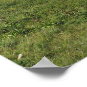 Franse Alpen Poster (Hoek)