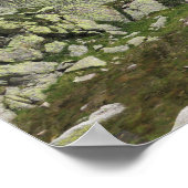 Franse Alpen Poster (Hoek)