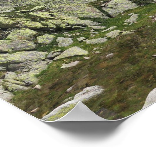 Franse Alpen Poster (Hoek)