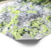 Franse Alpen Poster (Hoek)