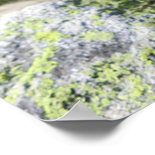 Franse Alpen Poster (Hoek)