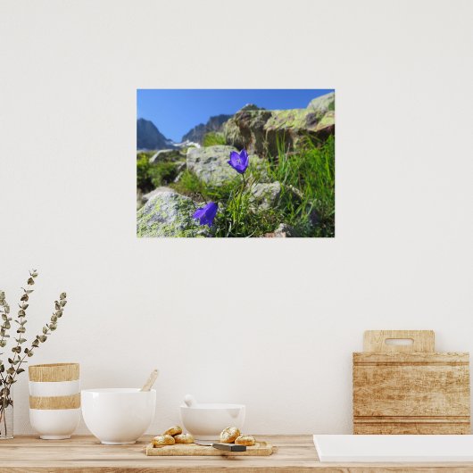 Franse Alpen Poster (Keuken)