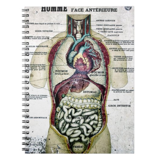 Franse anatomie notebook Notitieboek (Voorkant)