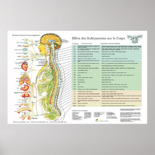 Franse ANS Subluxations Effects Chiropraktijk Char Poster