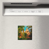 Franse architectuurkathedraal-Natuur Magneet (Insitu (Vaatwasser))