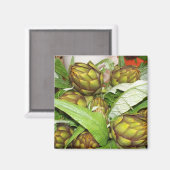 Franse artisjokken - Magneten (Voorkant / Achterkant)