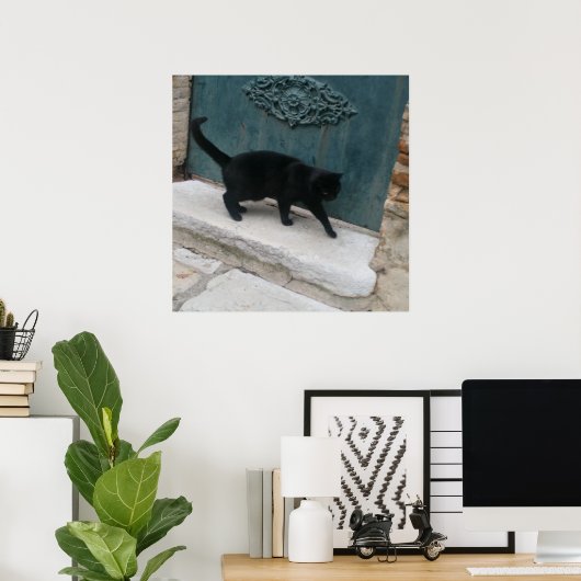 Franse Black Cat Nice France Print Posters (Thuiskantoor)