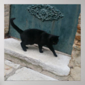 Franse Black Cat Nice France Print Posters (Voorkant)