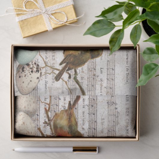 Franse blad Music Birds Eggs Decoupage Tissuepapier (Geschenk)
