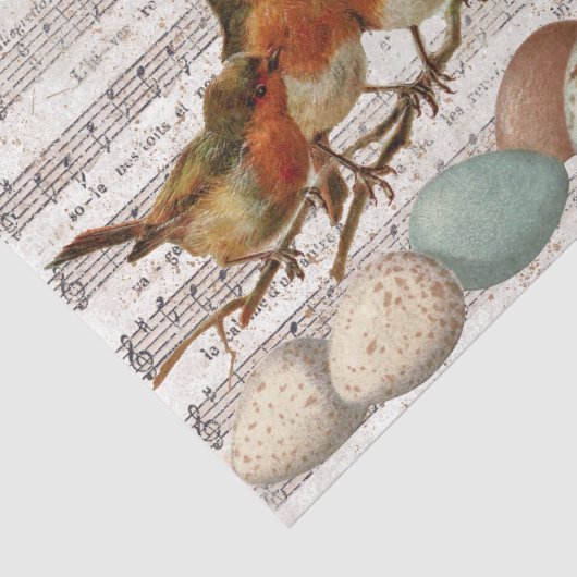 Franse blad Music Birds Eggs Decoupage Tissuepapier (Detail)