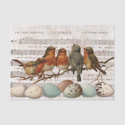 Franse blad Music Birds Eggs Decoupage Tissuepapier (Voorkant)