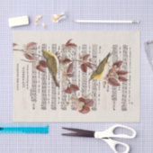Franse  blad Music Wren Birds Decoupage Tissuepapier (Craft)