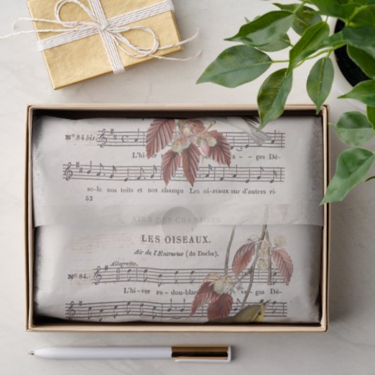 Franse blad Music Wren Birds Decoupage Tissuepapier (Geschenk)