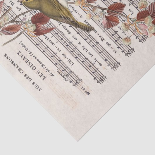 Franse blad Music Wren Birds Decoupage Tissuepapier (Detail)