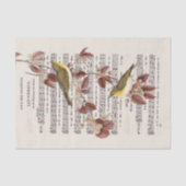 Franse blad Music Wren Birds Decoupage Tissuepapier (Voorkant)