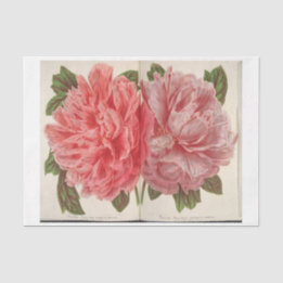 Franse Bloemen Ephemera Decoupage Twee Roze Pioene Tissuepapier