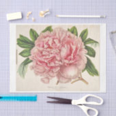 Franse Bloemenephemera Decoupage Roze pioen Tissuepapier (Craft)
