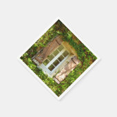 Franse boerderij raam & luiken papieren servetten (Hoek)