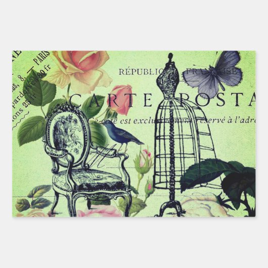 Franse botanische bloem  Eiffeltoren Parijs Inpakpapier Vel (Voorkant 2)