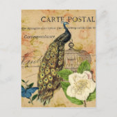 franse botanische camellia berdcage  pauock briefkaart (Voorkant)