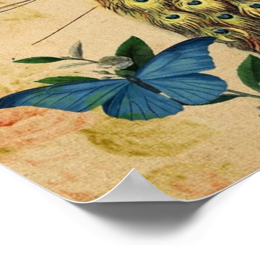 franse botanische camellia berdcage  pauock poster (Hoek)