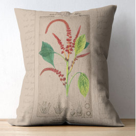 Franse botanische illustratie Amaranthus Accent Kussen
