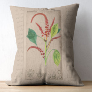 Franse botanische illustratie Amaranthus Accent Kussen