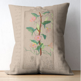 Franse botanische illustratie Bindweed Accent Kussen