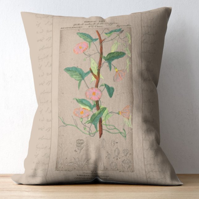Franse botanische illustratie Bindweed Accent Kussen (Creator heeft geüpload)