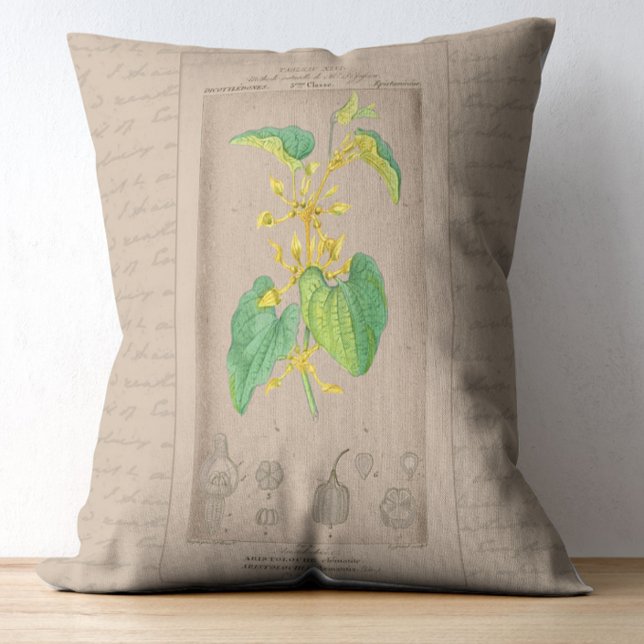 Franse botanische illustratie Birthworth Accent Kussen (Creator heeft geüpload)