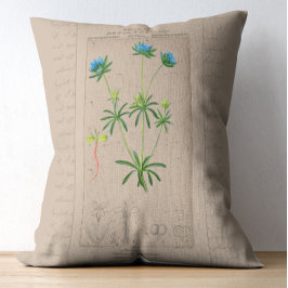 Franse botanische illustratie Blue Woodruff Accent Kussen